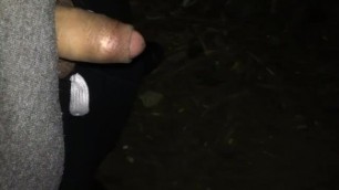 small dick jerk off while i was walking home