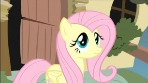 Fluttershy - Um