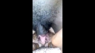 Hairy Perineums Interracial Clitfuck Compilation Tribbing Squirting