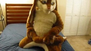 A Cabbit showing off and playing with himself