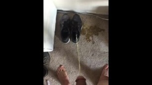 Pissing on my carpet and shoes!
