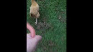 Me Chasing A Chicken With A Hotdog