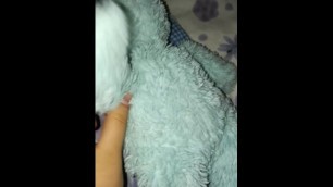 SEXY BLUE BUNNY JACKING OFF FURRY PORN