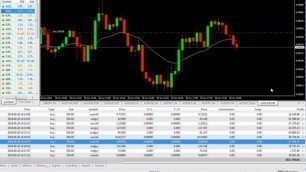 Jason Alerts: Forex Trading, Big Wins +$334,000