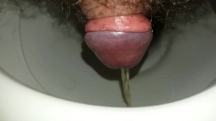 Pee in toilet close up