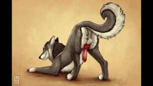 Gay Furry Yiff 4