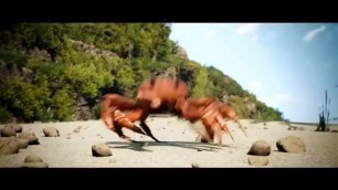 Old man gets ravished by sexy crabs!!