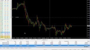 Jason Alerts: Forex Trading, Big Win! +$297,882