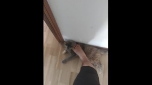 step on my own hot pussycat (she enjoy!)