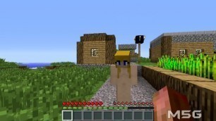 Minecraft sex mod