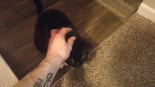 saw the pussy in the hallway and had to give it a rub!!!