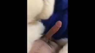 Masturbating with Wife’s Furs