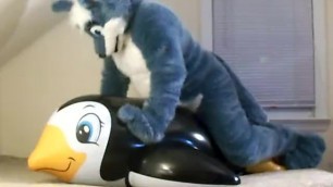 Husky Boinks Overinflated Penguin