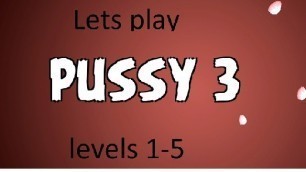 lets play - Pussy 3 - levels 1-5