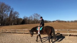 Yeti rides big horse