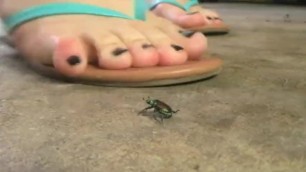 Teal Flip Flop Bug Crush 1of3