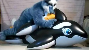 Whale Penguin Sandwich