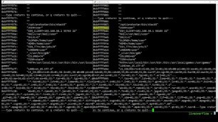 First Exploit! Buffer Overflow with Shellcode - bin 0x0E