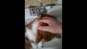 Pussy big as a sink I used my whole hand