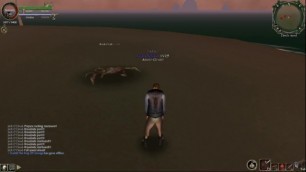 AFK at sand crabs