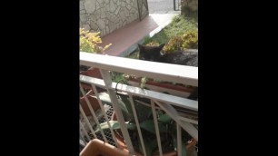recording a pussy in a garden